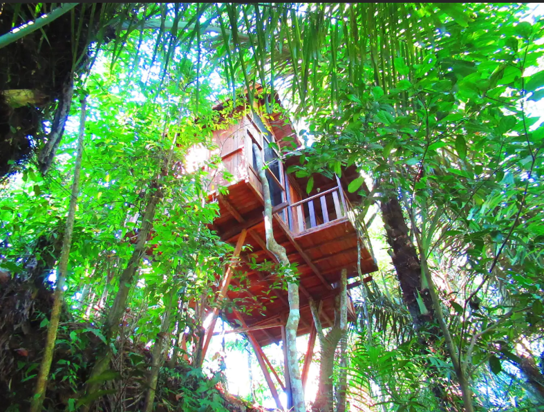 Photo of Thinking Bali? These Tree-Houses Under 3000 Will Light Up Your IG Feed! by Palak Doshi