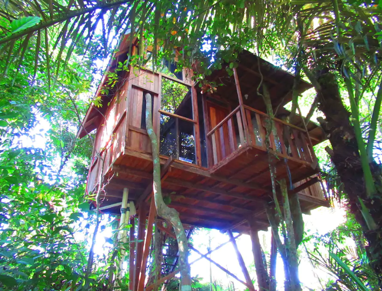 Photo of Thinking Bali? These Tree-Houses Under 3000 Will Light Up Your IG Feed! by Palak Doshi