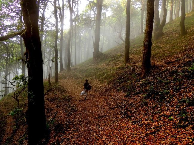 Photo of 17 Treks To Redefine Summer Vacation Goals by Sreshti Verma