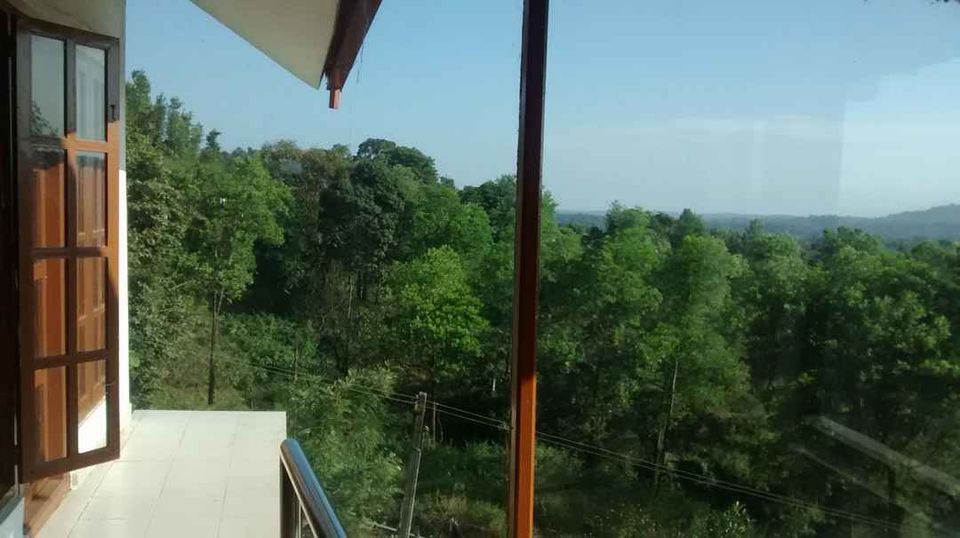 Photo of Coorg, Karnataka, India by Shinjini Majumder