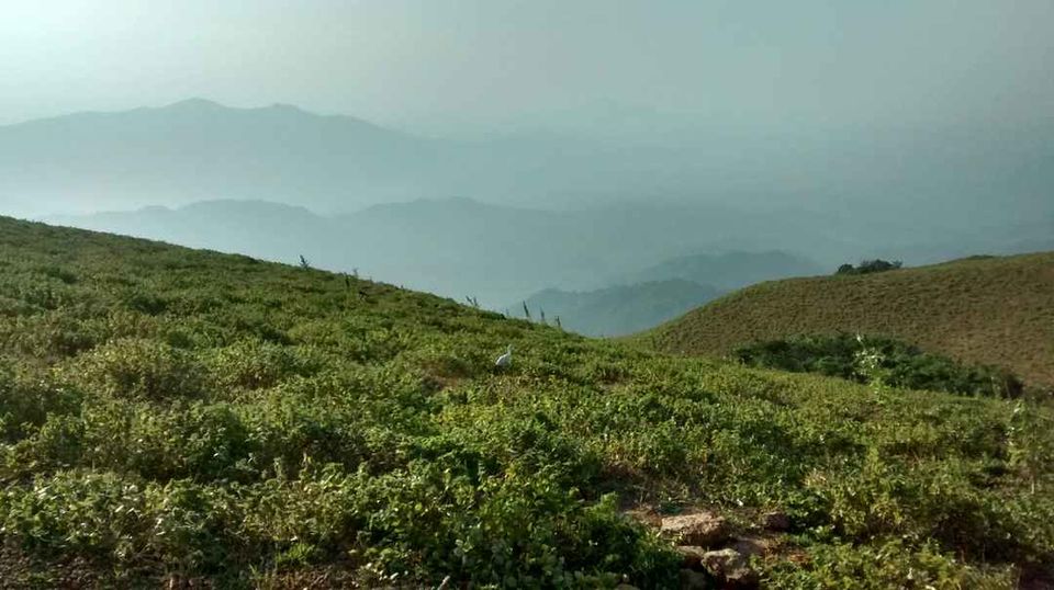 Photo of Coorg, Karnataka, India by Shinjini Majumder