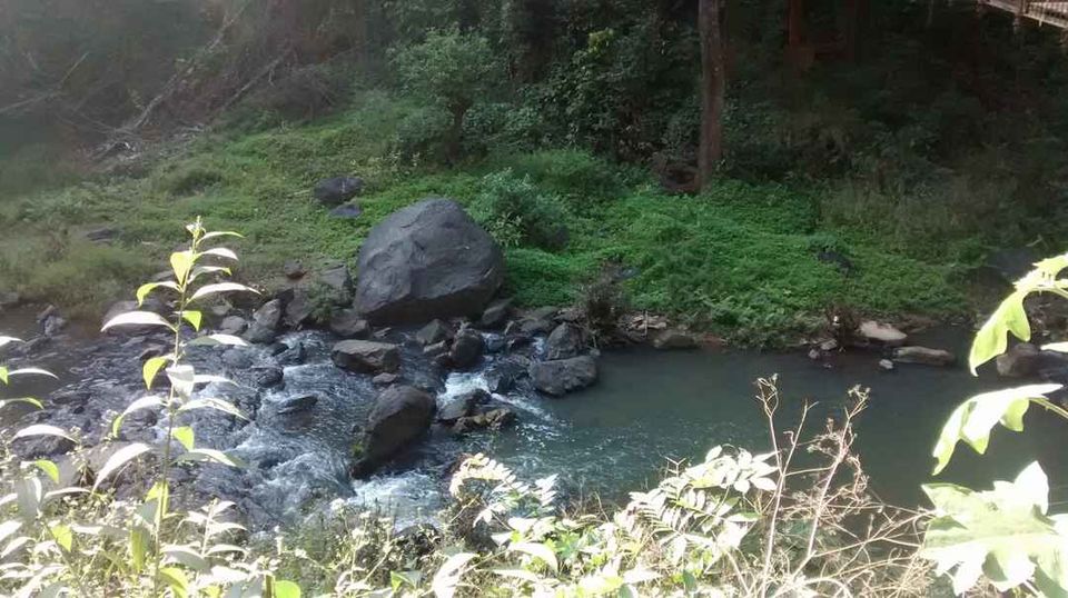 Photo of Coorg, Karnataka, India by Shinjini Majumder
