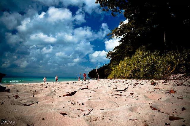 Photo of Radhanagar Beach, Andaman and Nicobar Islands by Gunjan Upreti
