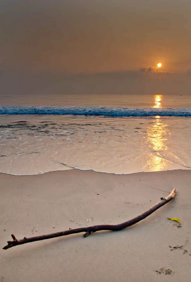 Photo of Elliot's Beach, Tamil Nadu by Gunjan Upreti