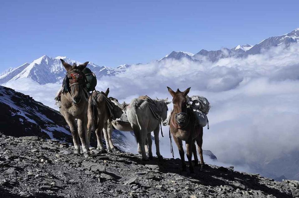 Photo of This Challenging Trek Goes Around the 8th Highest Mountain of the World by Amrita