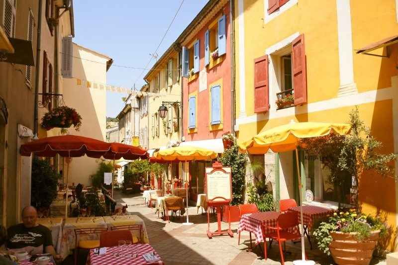 Photo of My Lavender Trail In France by Palak Doshi