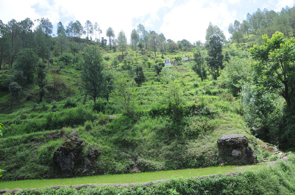 Photo of Chamba, Himachal Pradesh, India by Sarah