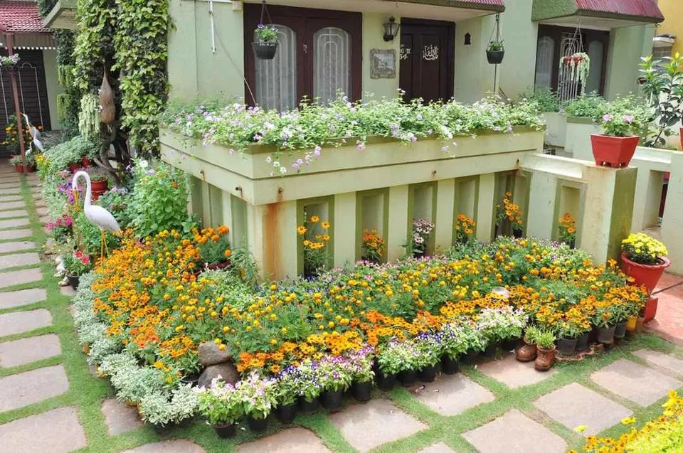 Photo of Designed with Bottles, Tyres and Old Shoes, Mysuru Woman’s Garden Wins 11 Awards in a Row by Priya Pareek