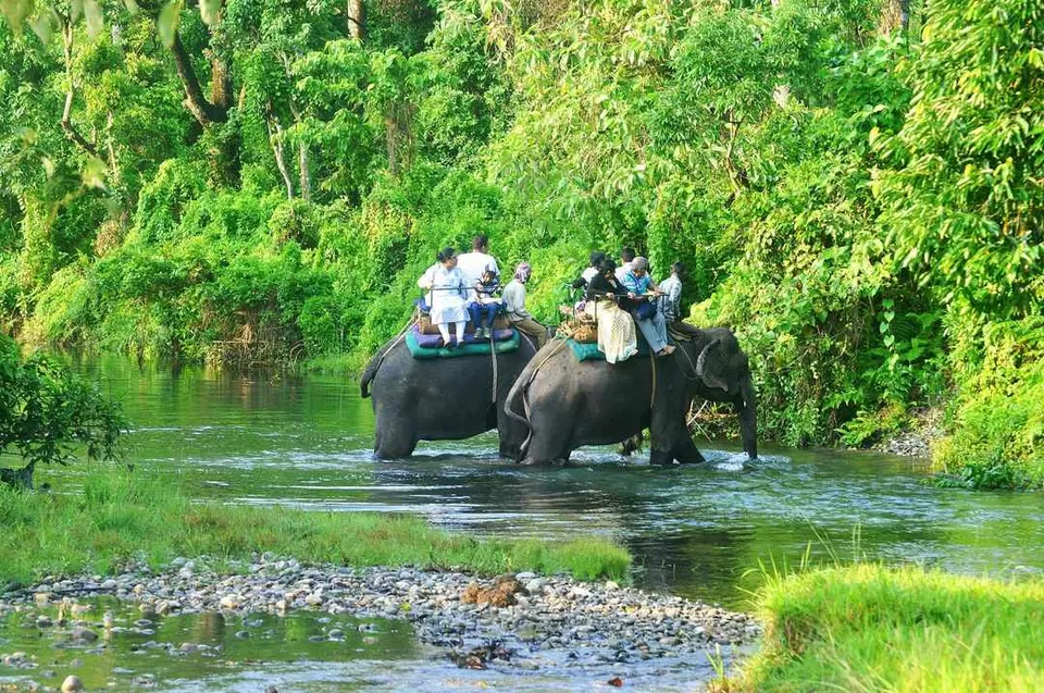 Photo of Jalpaiguri, West Bengal, India by Shinjini Majumder