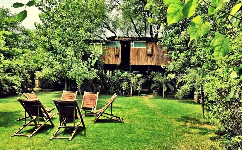 Photo of Jalpaiguri, West Bengal, India by Shinjini Majumder