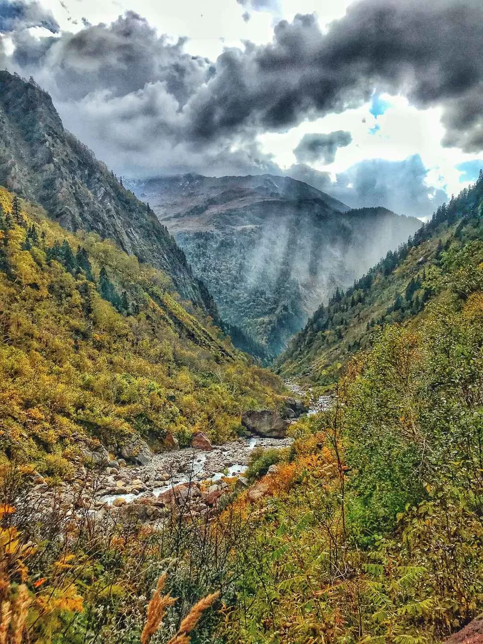 Photo of Great Himalayan National Park, Forest Office Road, Shamshi, Himachal Pradesh, India by Akanksha Siwach. Tales of The Hidden Trails