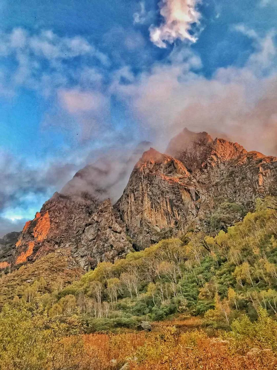 Photo of Great Himalayan National Park, Forest Office Road, Shamshi, Himachal Pradesh, India by Akanksha Siwach. Tales of The Hidden Trails