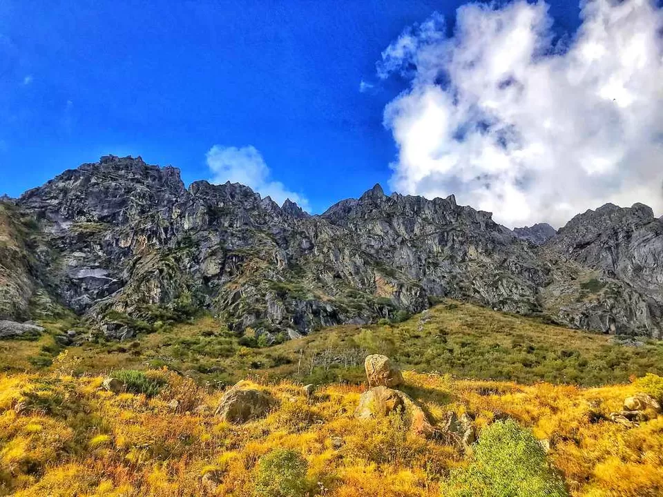 Photo of Great Himalayan National Park, Forest Office Road, Shamshi, Himachal Pradesh, India by Akanksha Siwach. Tales of The Hidden Trails