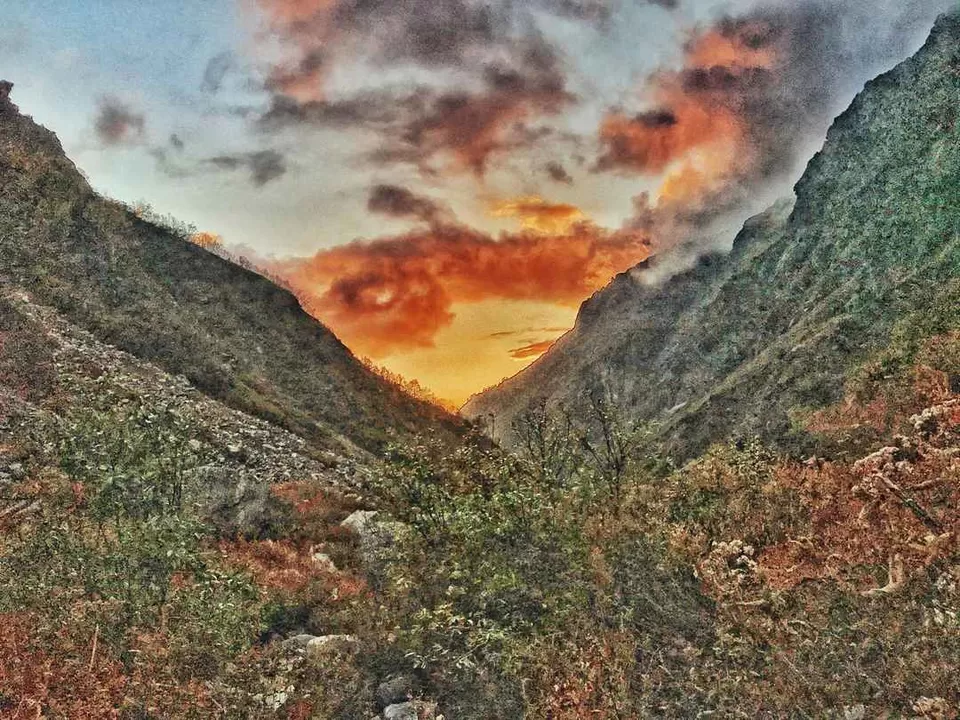 Photo of Great Himalayan National Park, Forest Office Road, Shamshi, Himachal Pradesh, India by Akanksha Siwach. Tales of The Hidden Trails