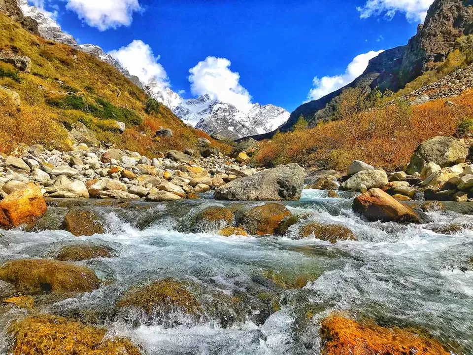 Photo of Great Himalayan National Park, Forest Office Road, Shamshi, Himachal Pradesh, India by Akanksha Siwach. Tales of The Hidden Trails
