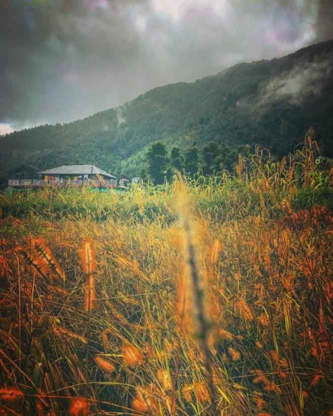 Photo of The Time When I Was Happily Stranded in This Heaven in Kangra Valley Called Kareri by Akanksha Siwach. Tales of The Hidden Trails
