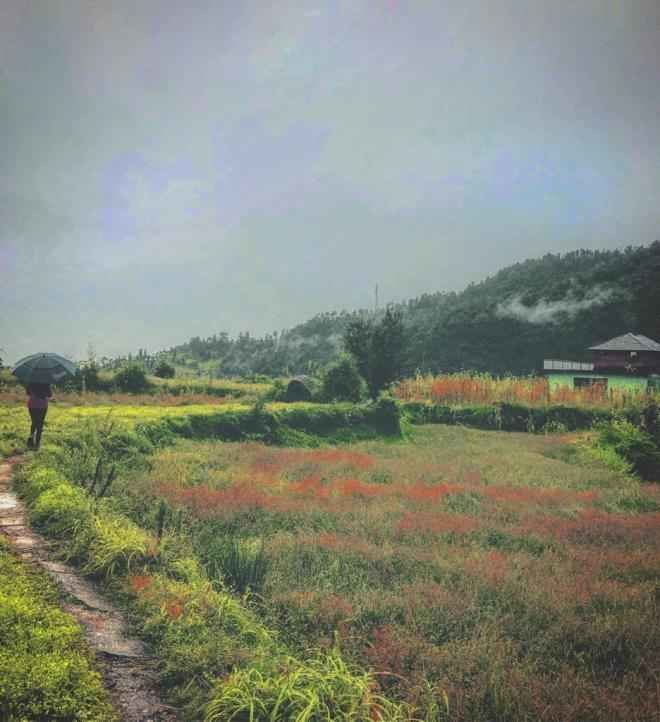 Photo of The Time When I Was Happily Stranded in This Heaven in Kangra Valley Called Kareri by Akanksha Siwach. Tales of The Hidden Trails