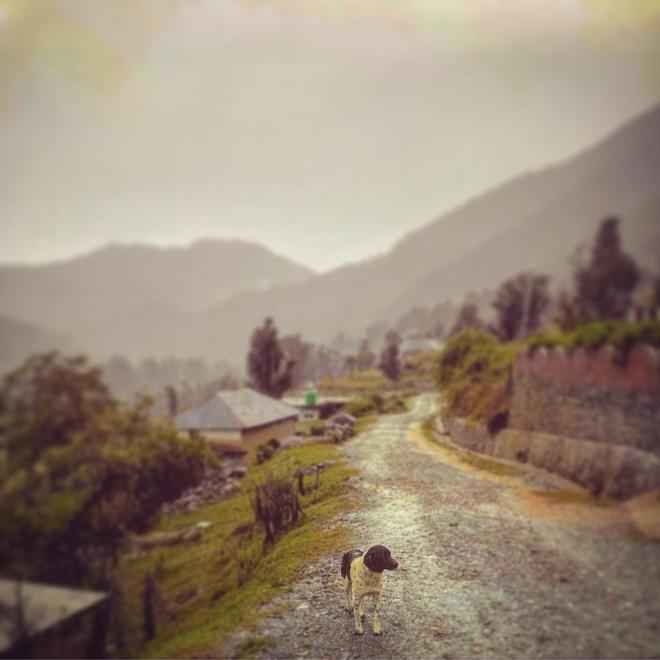 Photo of The Time When I Was Happily Stranded in This Heaven in Kangra Valley Called Kareri by Akanksha Siwach. Tales of The Hidden Trails