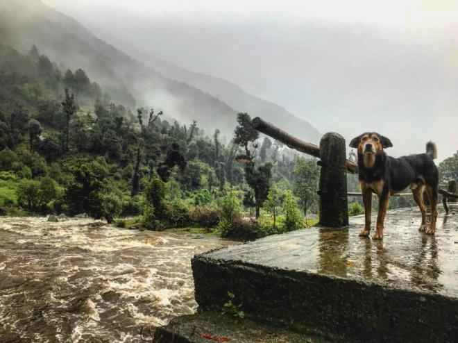Photo of The Time When I Was Happily Stranded in This Heaven in Kangra Valley Called Kareri by Akanksha Siwach. Tales of The Hidden Trails