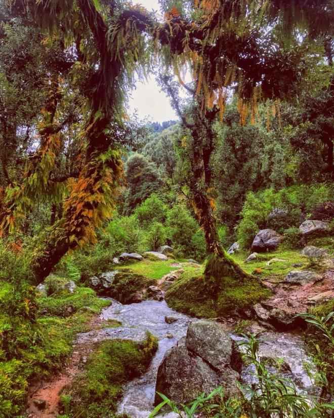 Photo of The Time When I Was Happily Stranded in This Heaven in Kangra Valley Called Kareri by Akanksha Siwach. Tales of The Hidden Trails
