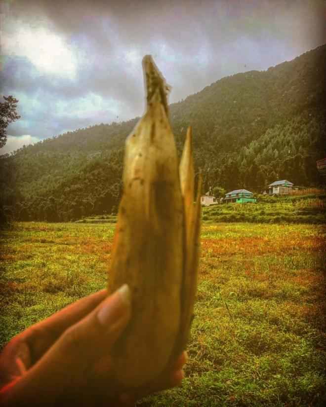 Photo of The Time When I Was Happily Stranded in This Heaven in Kangra Valley Called Kareri by Akanksha Siwach. Tales of The Hidden Trails