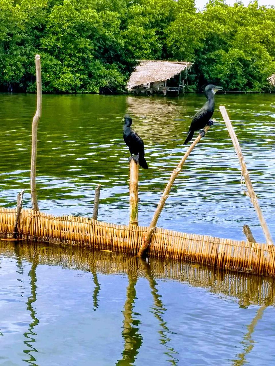 Photo of Sri Lanka: A Complete Travel Guide to Cherish This Treasure of Tropics by Saheli Bera