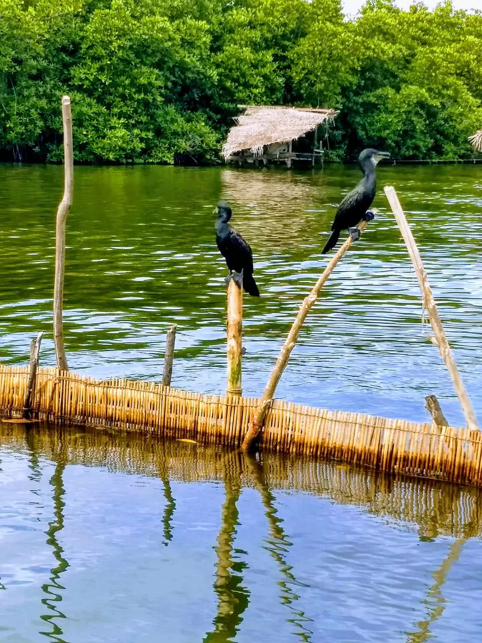 Photo of Sri Lanka: A Complete Travel Guide to Cherish This Treasure of Tropics by Saheli Bera