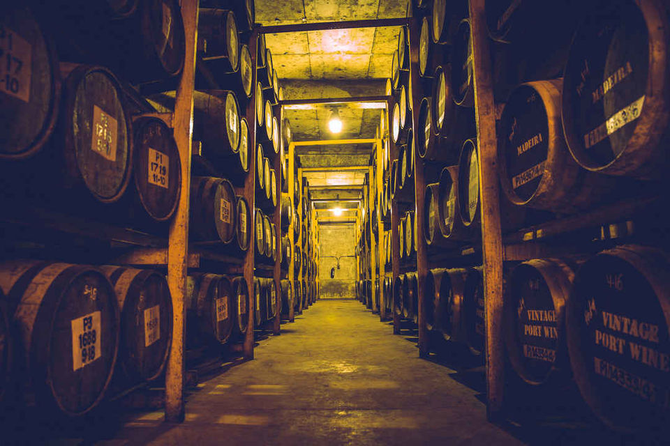 Photo of The Liquid Gold of Goa - Paul John Distillery Centre by The Trip Seekers