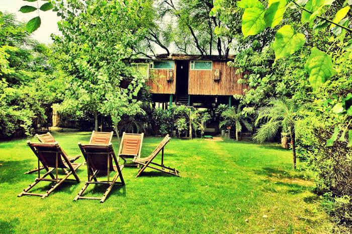 Photo of The Tree House Resort, Vijay Path, Sector 2, Sector 12, Mansarovar, Jaipur, Rajasthan, India by Gunjan Upreti
