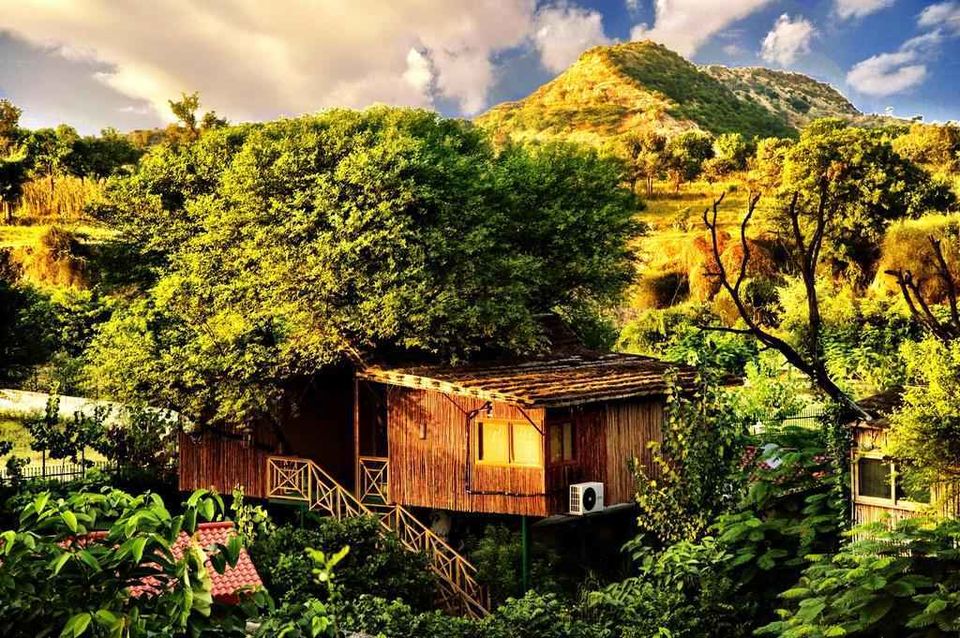 Photo of The Tree House Resort, Vijay Path, Sector 2, Sector 12, Mansarovar, Jaipur, Rajasthan, India by Gunjan Upreti