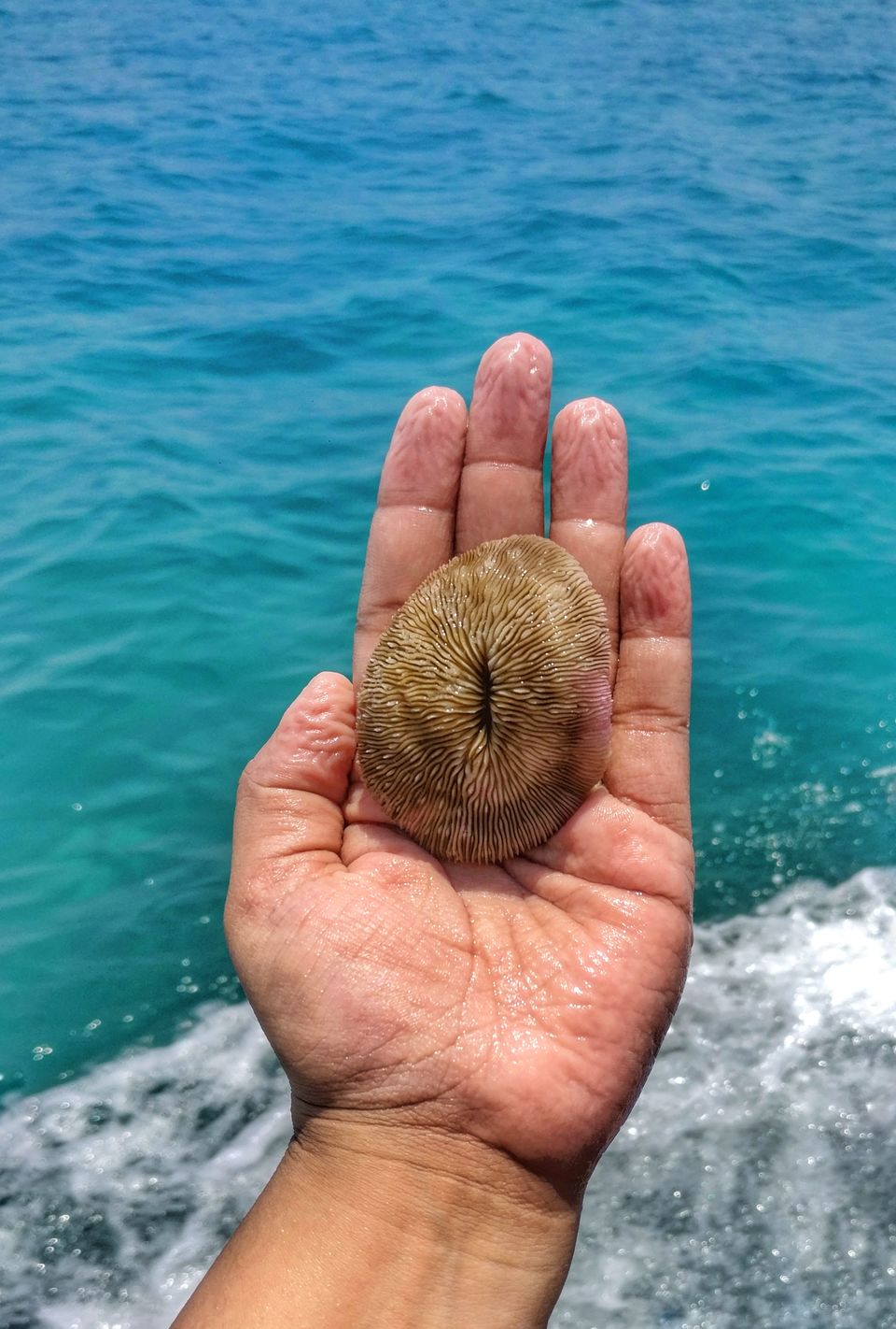 Photo of Unexpectedly Awesome Things to Do on Agatti Island 3/4 by Gunjan Upreti