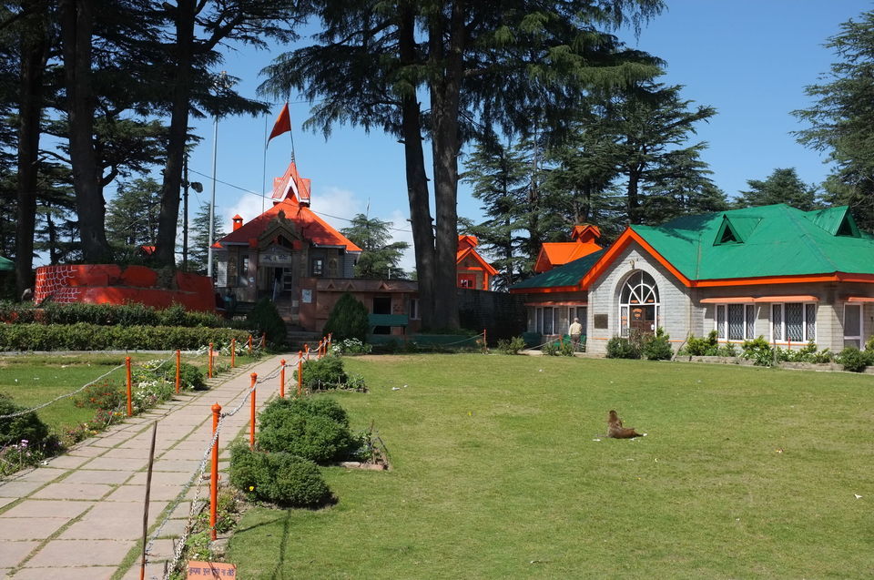 Photo of जाखू मंदिर, Jakhoo Road, Bemloi, Shimla, Himachal Pradesh, India by Tripoto