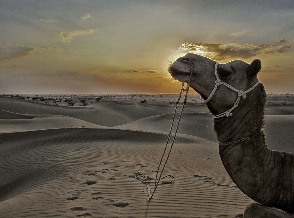 Photo of कुलधरा, Jiyai, Rajasthan, India by Tripoto