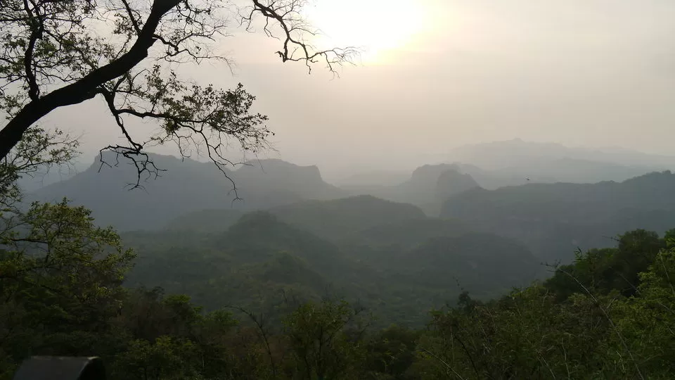 Photo of धूपगढ़, Madhya Pradesh by Manju Dahiya