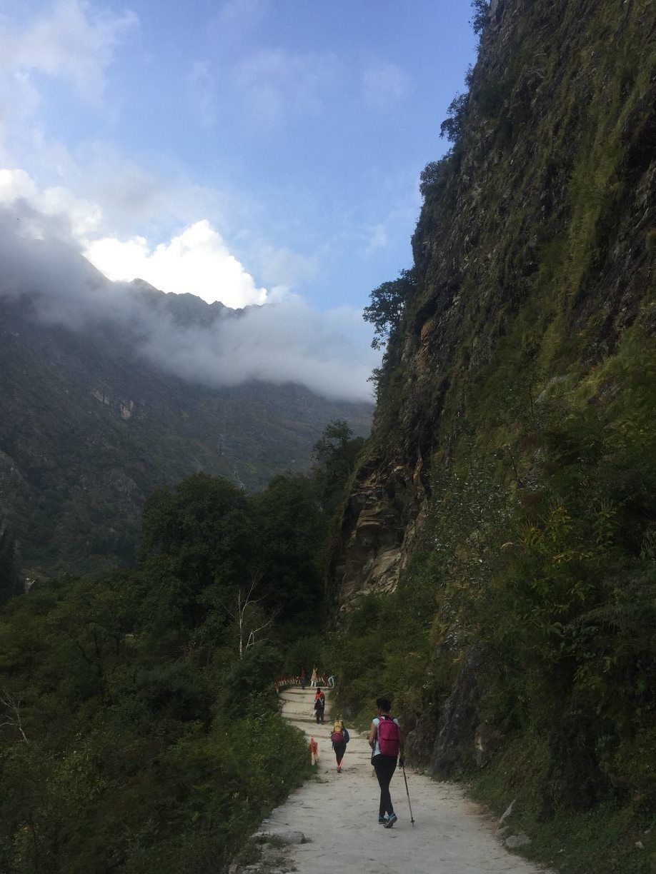 Photo of वैली ऑफ फ्लावर्स ट्रेक: उत्तराखंड में फूलों की घाटी की सैर 3/4 by लफंगा परिंदा
