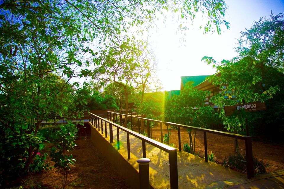 Photo of चोरल डैम, Rampuriya, Madhya Pradesh, India by Manju Dahiya