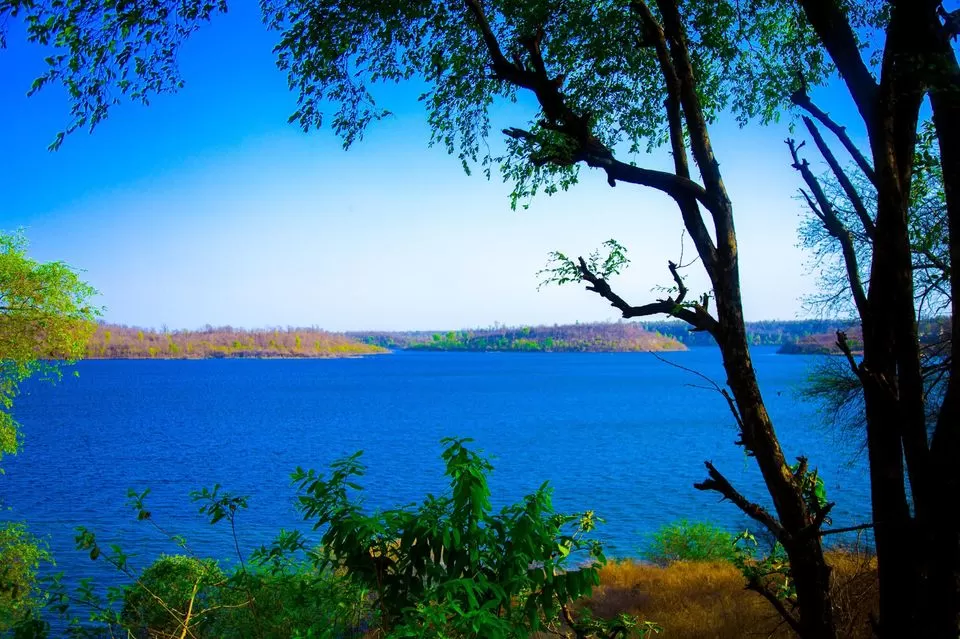 Photo of सैलानी, Madhya Pradesh, India by Manju Dahiya