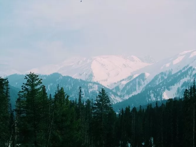 Photo of गुलमर्ग by ट्रिप अड्डा