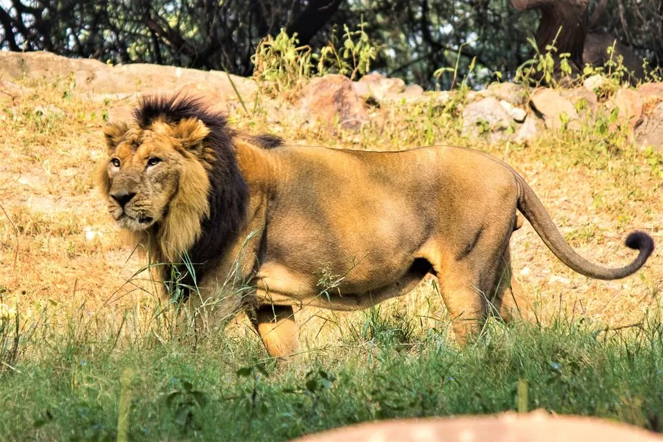 Photo of जू, Pragati Maidan, New Delhi, दिल्ली by ट्रिप अड्डा