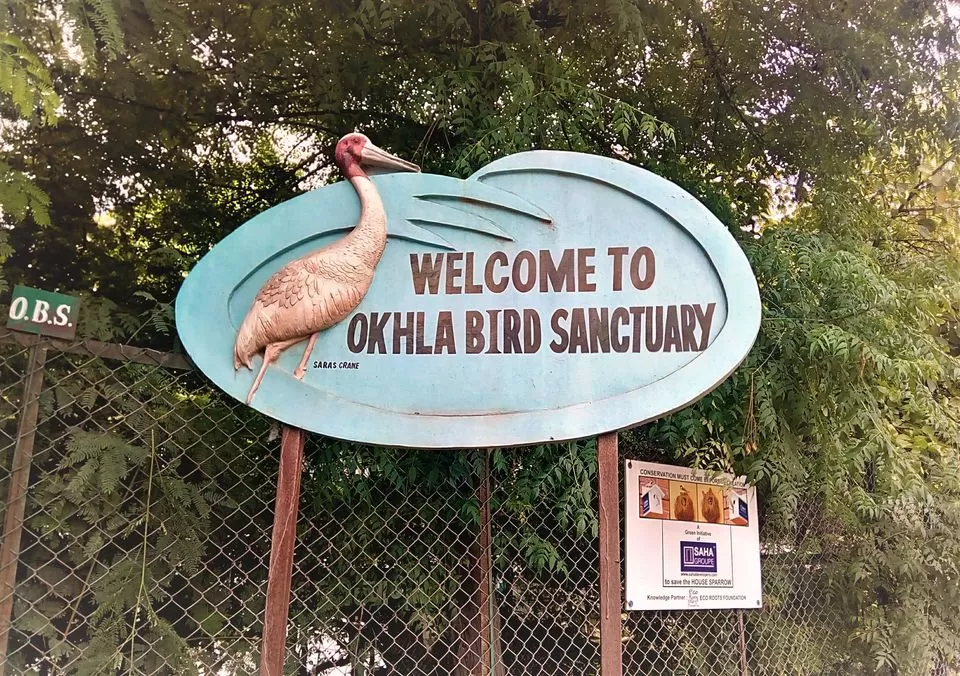 Photo of ओखला बर्ड सैंक्चुरी, Noida, Uttar Pradesh, India by ट्रिप अड्डा