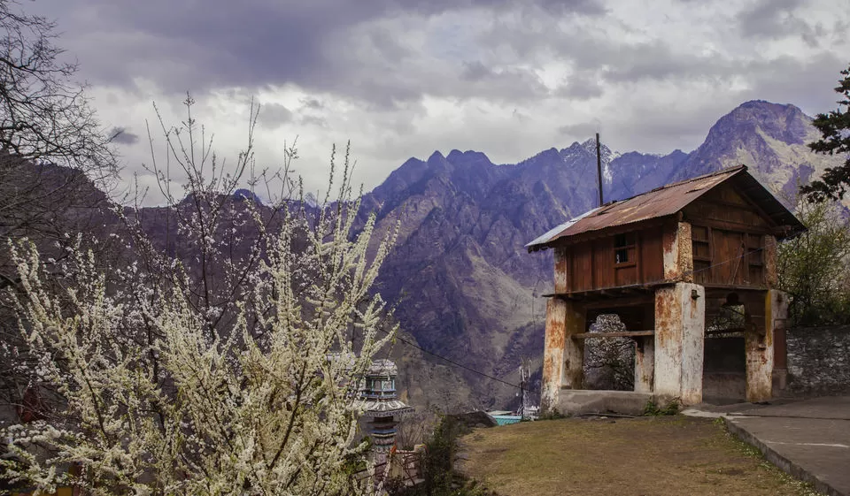 Photo of जोशीमठ, Uttarakhand, India by सिद्धार्थ सोनी Siddharth Soni