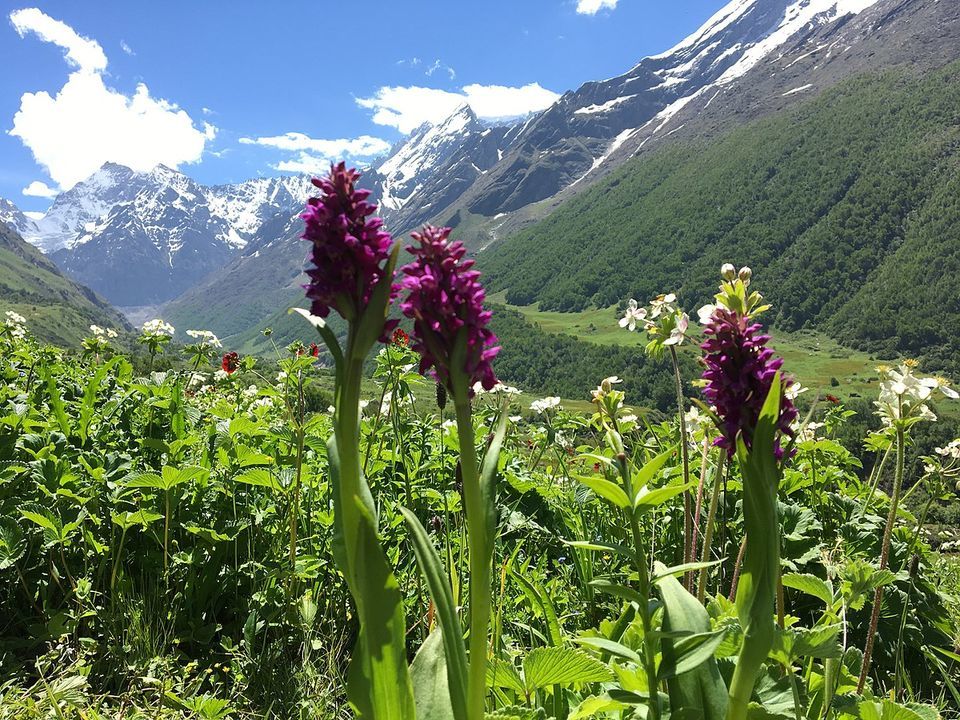 Photo of उत्तराखंड की एकल यात्रा: पहाड़ों के बीच ट्रेकिंग का मज़ा by लफंगा परिंदा