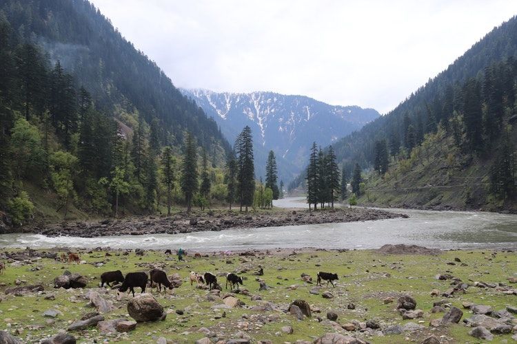 Photo of परिवार के साथ वक्त बिताने के लिए बेस्ट हैं ये जगहें, ट्रैवल लिस्ट में ज़रूर करें शामिल! by Anshul Sharma