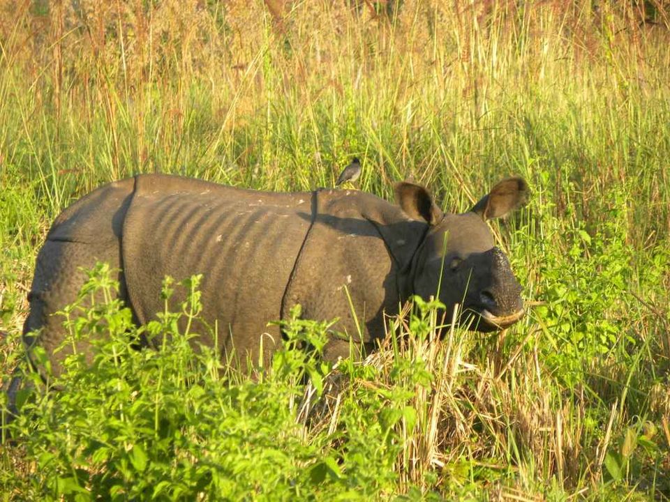 Photo of यात्रा भविष्यवाणी: आपकी राशि बनाएगी आपके घूमने का प्लान by किस्से कहानी वाला