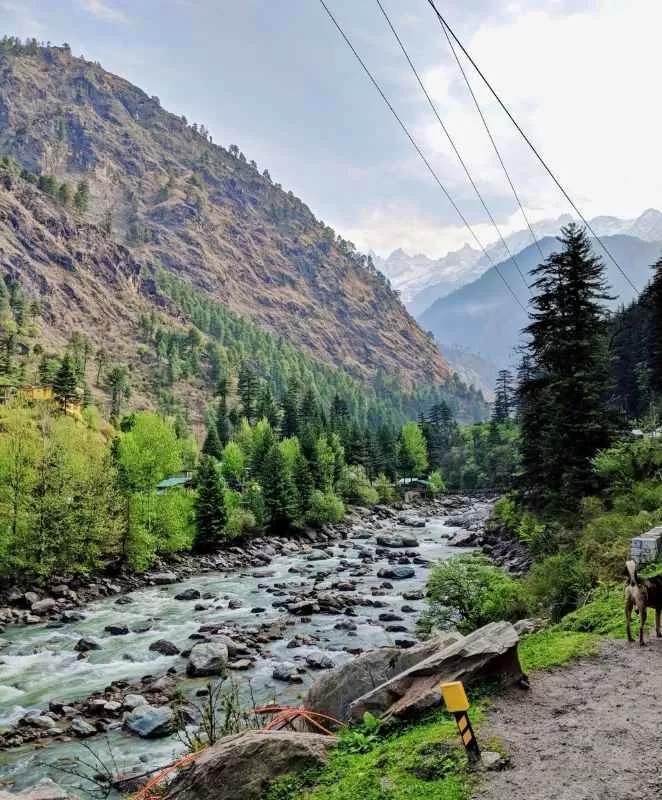 Photo of बरशैणी, Sosan, Himachal Pradesh, India by Aastha Raj