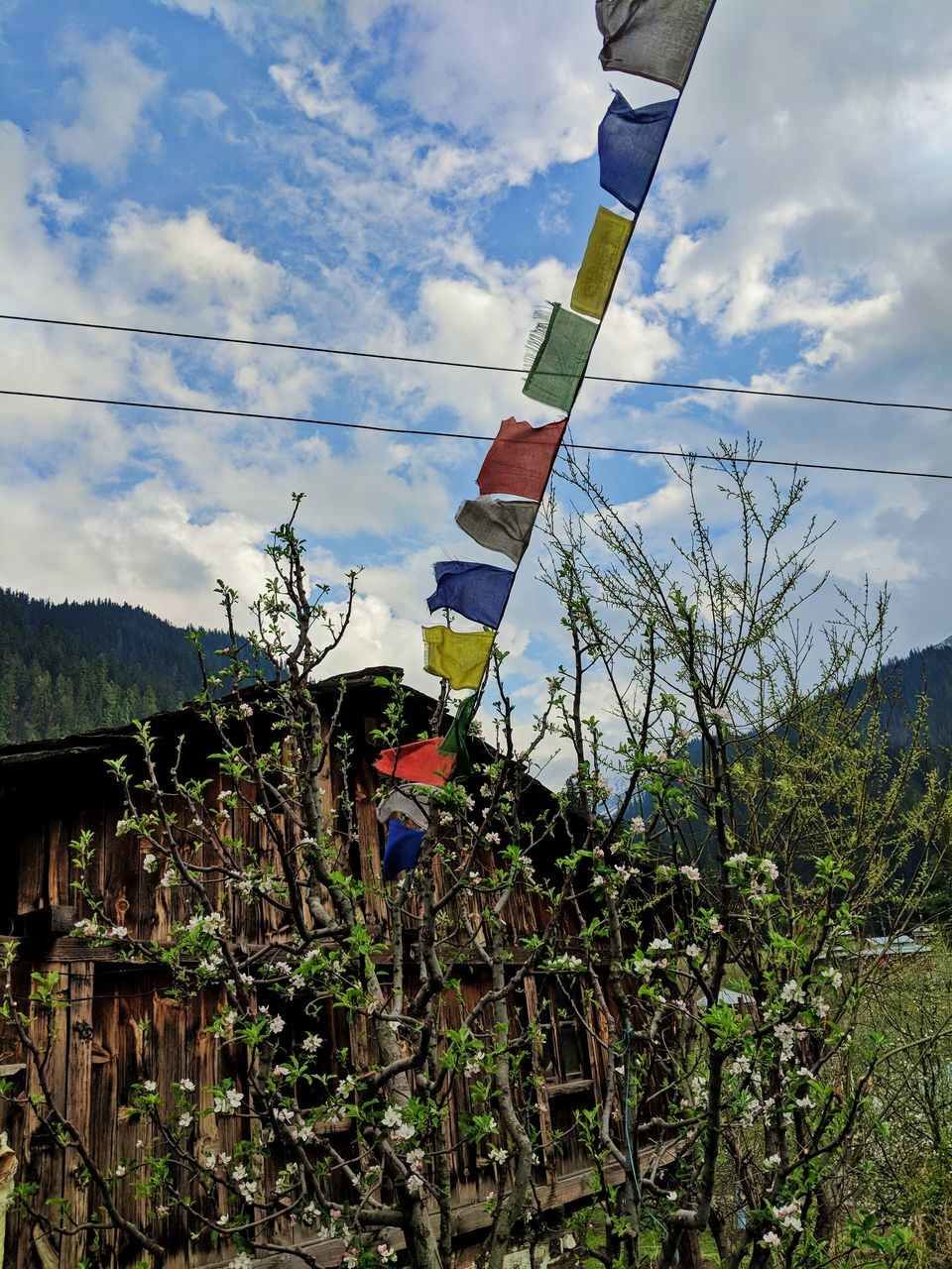 Photo of गलत बस में बैठने से शुरू हुआ मेरी ज़िंदगी का सबसे रोमांचक सफर by Aastha Raj