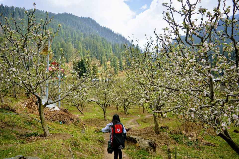 Photo of गलत बस में बैठने से शुरू हुआ मेरी ज़िंदगी का सबसे रोमांचक सफर by Aastha Raj