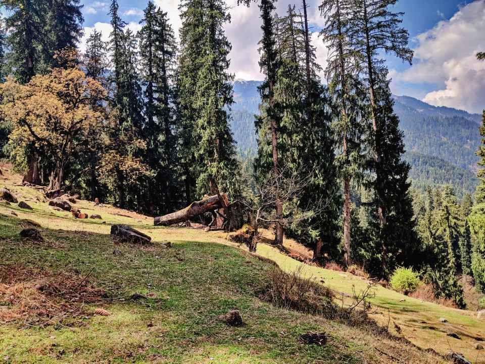 Photo of गलत बस में बैठने से शुरू हुआ मेरी ज़िंदगी का सबसे रोमांचक सफर by Aastha Raj