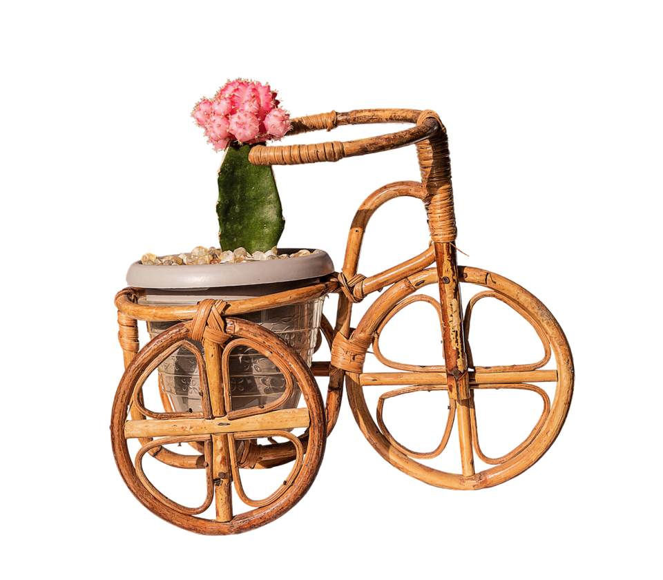 Photo of त्रिपुरा, भारत by सिद्धार्थ सोनी Siddharth Soni