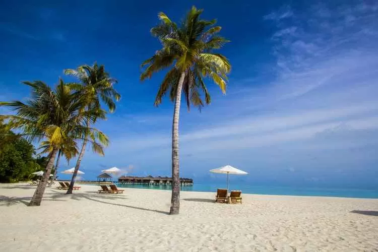 Photo of मालदीव by सिद्धार्थ सोनी Siddharth Soni